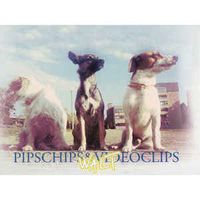 Pips, Chips & Videoclips - Walt
