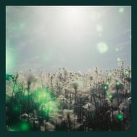 Lunaria - Asphodel Meadows