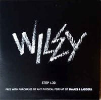 Wiley - Step 1-20