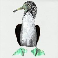 Cosmo Sheldrake - Gal&aacute;pagos (Original Series Soundtrack)