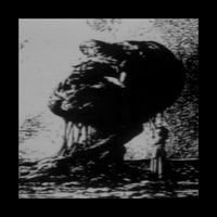 Software Machine - between you and me stands fear