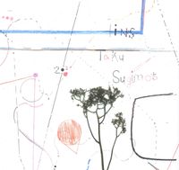 Taku Sugimoto - lines
