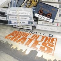 Buckwild - Diggin In The Crates Rare Studio Masters