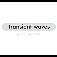 Transient Waves - Sonic Narcotic