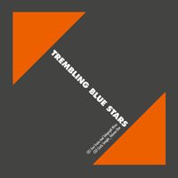 Trembling Blue Stars - Fast Trains And Telegraph Wires