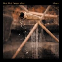 Dewa Alit & Gamelan Salukat - Genetic