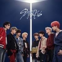 Stray Kids - Top
