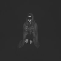 Melissa Vanfleet - Ode To The Dark