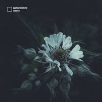 Martin Stürtzer - Branches
