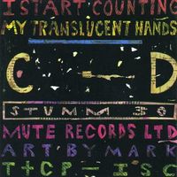 I Start Counting - My Translucent Hands
