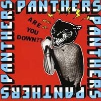 Panthers - Are You Down?
