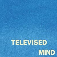 Fontaines D.C. - Televised Mind