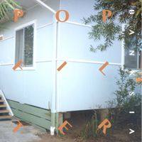 Pop Filter - Banksia