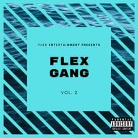 Various Artists - Flex Gang, Vol. 2