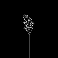 Wetware - Flail