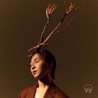 추다혜차지스 [Chudahye Chagis] - 오늘밤 당산나무 아래서 [Underneath the Dangsan Tree Tonight]
