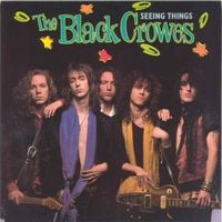 The Black Crowes - Seeing Things