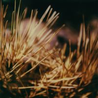 Beno&icirc;t Pioulard - Kenopsia