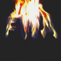 Lil Wayne - FWA [Reissue]