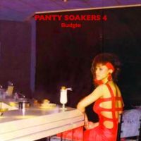Budgie - Panty Soakers 4
