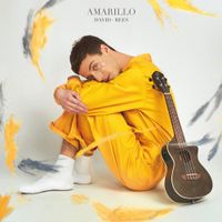David Rees - Amarillo