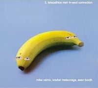 Mika Vainio, Kouhei Matsunaga, Sean Booth - 3. Telepathics Meh In-Sect Connection