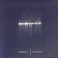 Kangding Ray - Automne Fold