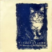 Tindersticks - The Bloomsbury Theatre 12.3.95