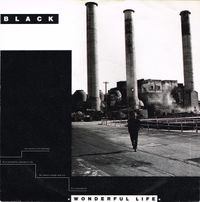 Black - Wonderful Life