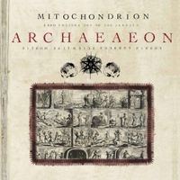 Mitochondrion - Archaeaeon