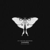 Witt Lowry - Changes