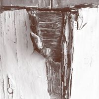 Ian Wellman - The House That Ate Itself