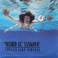 "Weird Al" Yankovic - Smells Like Nirvana