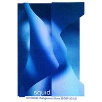 Squid - Terrestrial Changeover Blues (2007 - 2012)