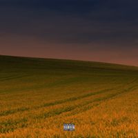 Bktherula - Summer