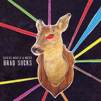 Brad Sucks - Guess Who's a Mess