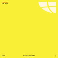 BAYNK & Tei Shi - TESSELLATE
