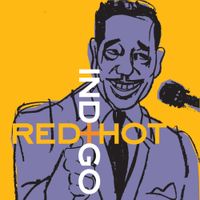 Various Artists - Red Hot + Indigo