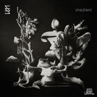 Shadient - Infinite Structure