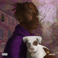 Mir Fontane - Camden