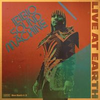 Ibibio Sound Machine - Live at Earth