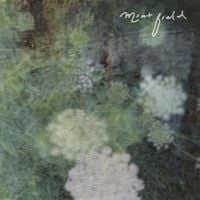 Mint Field - Sentimiento Mundial