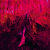 Rebel Wizard - Magickal Mystical Indifference