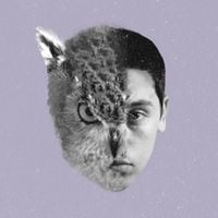 Ben Beal - Birdland