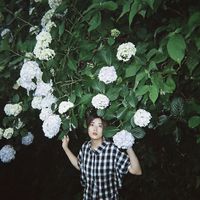 SAI - 瑞典春氷