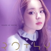 Rothy - Shape Of Rothy