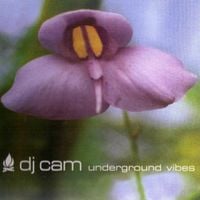 DJ Cam - Underground Vibes