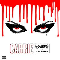 Landon Cube - Carrie