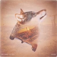 Wolfgang Gartner - Tucson