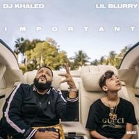 DJ Khaled & Lil Blurry - Important